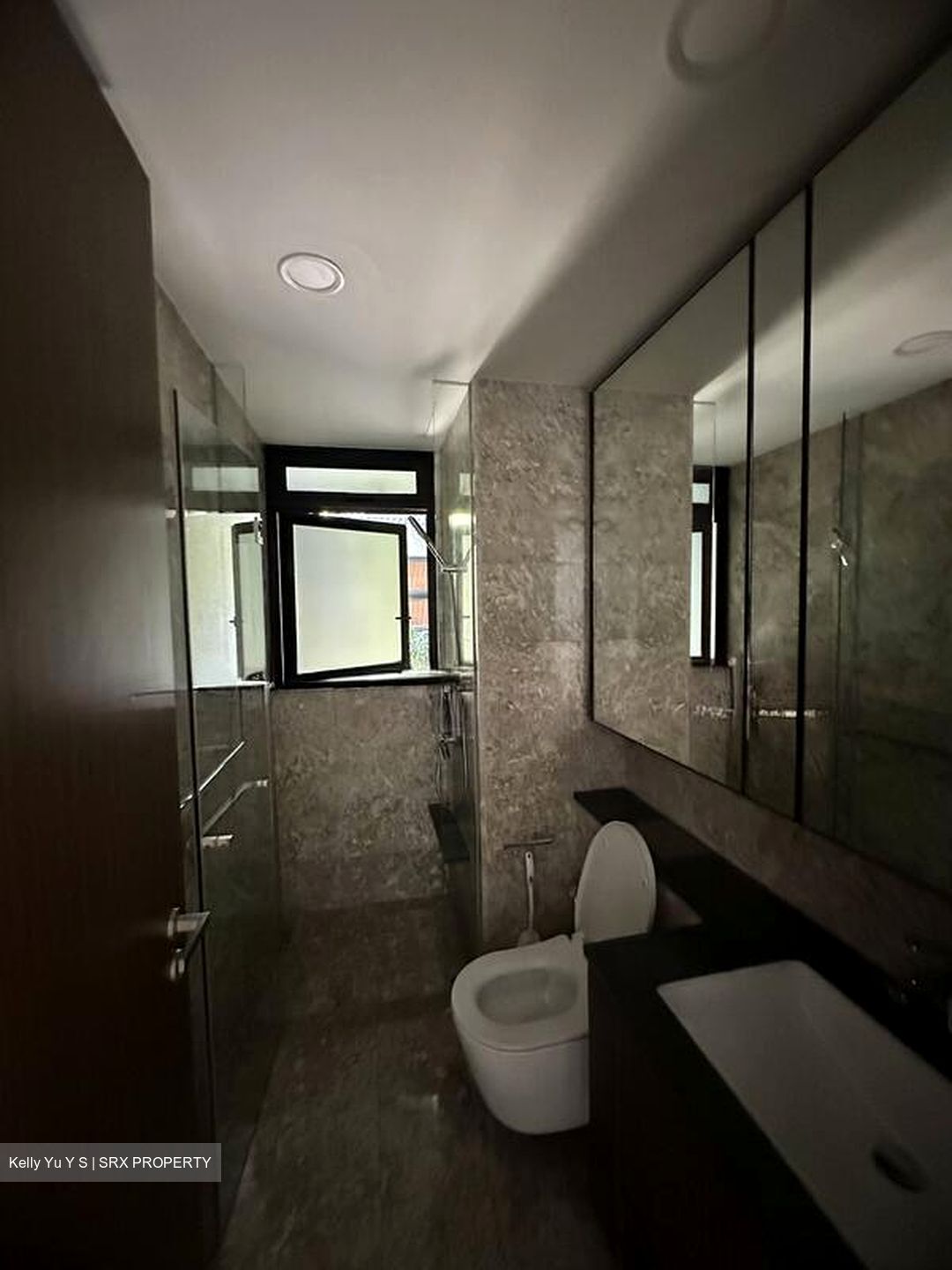 Kopar At Newton (D9), Apartment #566229081